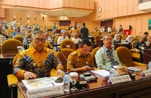 Wagub Nyanyang Hadiri Kegiatan Diseminasi BULD DPD RI