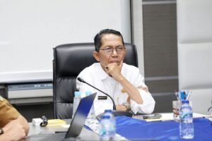 Wako Batam Ikuti Rapat Kerja dan RDP Komisi II DPR RI via Zoom Meeting