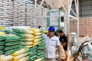 Bulog Batam Salurkan 737.800 Kg Beras ke KPM, Distribusi Belum ke Sekupang dan Sagulung