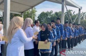 351 Peserta PPPK Tahap II 2024 Pemko Batam yang Lulus Belum Tentu Semuanya Diangkat, Ini Penjelasannya…