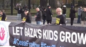 Pemerintah akan Merelokasi Warga Gaza ke Pulau Galang, Amnesty Internasional Indonesia Nilai Berisiko