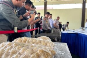 Polisi Temukan Ribuan Telur Penyu di Lobi Hotel di Batam, Pemilik masih Misterius?