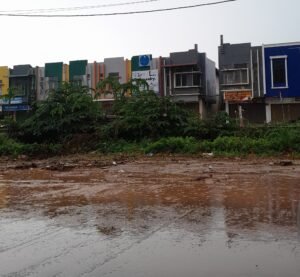 Warga Batam Diminta Waspadai DBD di Musim Hujan, Dinkes: Angka Terjangkit Naik