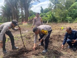 Polsek Bunguran Timur dan Poktan Desa Sebadai Hulu Tanam Jagung Pipil untuk Ketahanan Pangan ‎‎
