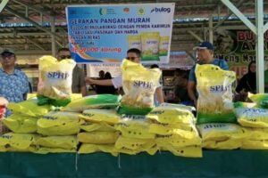 Beras Premium Sempat Langka di Karimun, Bupati Sebut Kini Mulai Teratasi