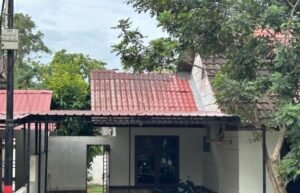 Kera dan Elang Liar di Batam Bikin Resah Warga, BBKSDA Merespon