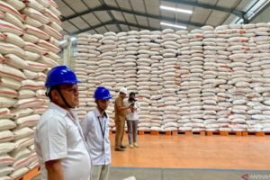 Warga Penerima KPM di Batam dan Karimun akan Dapat Bantuan Beras 40 Kilogram