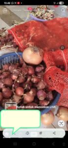 Bawang Dibuang Dijual Lagi di Medsos, Lokasi Sudah Ditimbun dan Dijaga