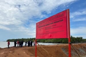 KKP Segel 7 Lokasi Reklamasi Ruang Laut tak Berizin di Kepri