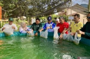 51 Pokdakan di Batam dapat Dana Rp2,7 Miliar, Kadiskan: Penerima Bantuan Kelompok yang Sama