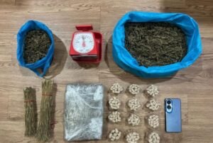 Pengedar Ganja di Bukit Senyum Ditangkap Ditresnarkoba Polda Kepri, Barang Bukti 2,69 Kg