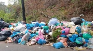 Warga Resah, Tumpukan Sampah di Tepi Jalan Mengganggu Pengguna Jalan
