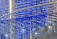 Spider Challenge: Kejuaraan Jujitsu Antar Dojo se-Kepri, Bidik Bibit Atlet agar Prestasi Tak Terputus