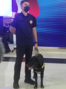 Diendus Bary, Pembawa 148 Vape Narkotika tak Berkutik Dibekuk Petugas di Pelabuhan Harbour Bay Batam