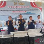 Gagalkan Penyelundupan 129.965 Benih Lobster, Kanwil Bea Cukai Kepri: Pelaku Melarikan Diri
