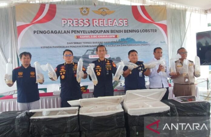 Screenshot_20251216_234058_Chrome