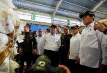 Tindak Tegas Pemasukan Beras Tanpa Dokumen Karantina