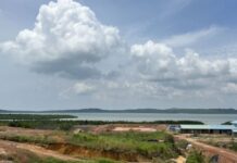 Dua Kabupaten di Kepri Terdeteksi Terjadi Kekeringan