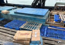 Usai Bawa Ikan ke Singapura, Kapal Penyelundup 70 Ton Daging Beku Diamankan Polda Kepri