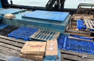 Usai Bawa Ikan ke Singapura, Kapal Penyelundup 70 Ton Daging Beku Diamankan Polda Kepri