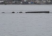 Ramadan 1447 Hijriah di Kepri Diprediksi Minim Hujan