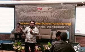 WALHI dan The Prakarsa Soroti Kerusakan Lingkungan Akibat Pertambangan Timah