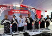 Ratusan Ribu Benih Lobster Selundupan Diamankan Petugas di Teluk Bakau Batam, Pelaku Kabur Lagi