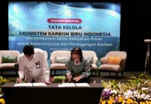 Kementrian Kelautan dan Perikanan Adakan Seminar Nasional Tata Kelola Ekosistem Karbon Biru Indonesia