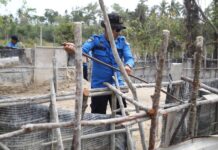 BP Batam, TNI, dan Polri Tertibkan Tambang Pasir Ilegal di Kawasan Bandara Hang Nadim