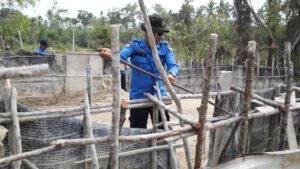 BP Batam, TNI, dan Polri Tertibkan Tambang Pasir Ilegal di Kawasan Bandara Hang Nadim