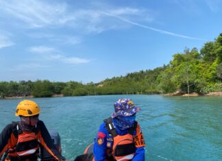 Pria Diduga Lompat dari Jembatan Barelang, Tim SAR Masih Lakukan Pencarian