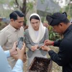 Manisnya Madu Harapan Ekonomi Syariah: Kisah Gudem Bee Farm di Bintan