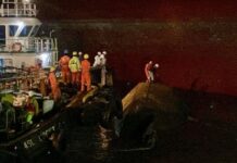 Narik Kapal Docking di PT ASL Batam, Tugboat Terbalik, 4 ABK Tewas 1 Selamat