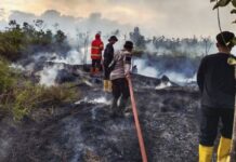 Bencana Kekeringan hingga Karhutla Melanda, Bupati Natuna Tetapkan Status Tanggap Darurat