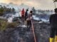 Bencana Kekeringan hingga Karhutla Melanda, Bupati Natuna Tetapkan Status Tanggap Darurat