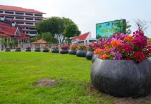 BP Batam: Penataan Pot Bougenville Perkuat Estetika Kota Tanpa Bebani Keuangan Negara