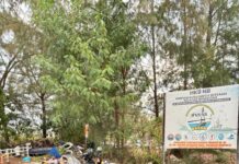 Hari Nelayan Nasional: Grand Mercure Batam Centre Perkuat Kesejahteraan Nelayan Lokal