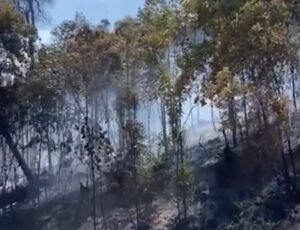 95 Persen Kebakaran di Kepri Disengaja, Petugas Kesulitan Menangkap Pelaku