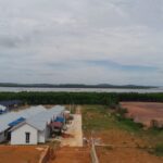 Puluhan Hektare Hutan Bakau Dekat Sunny Bay Piayu Laut Rusak Parah, Dibabat dan Ditimbun Tanah