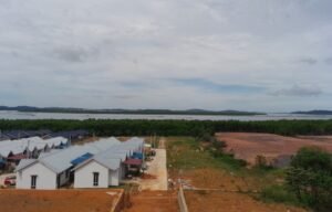 Puluhan Hektare Hutan Bakau Dekat Sunny Bay Piayu Laut Rusak Parah, Dibabat dan Ditimbun Tanah