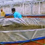 24 Pokdakan di Batam Dapat Bantuan 96 Bioflok pada 2026, 2 Kelompok Lama Diberi Lagi