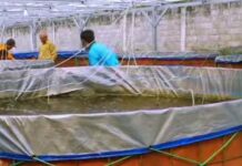 24 Pokdakan di Batam Dapat Bantuan 96 Bioflok pada 2026, 2 Kelompok Lama Diberi Lagi