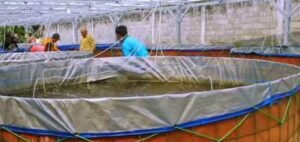 24 Pokdakan di Batam Dapat Bantuan 96 Bioflok pada 2026, 2 Kelompok Lama Diberi Lagi