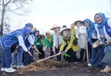 BKOW Kepri Bagikan 700 Bantuan Bibit Tanaman Perkebunan di Cikolek Toapaya Selatan