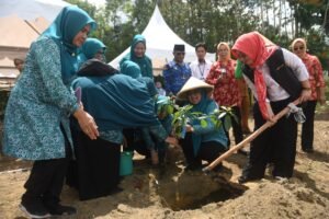 TP PKK Kepri Serahkan Bantuan Bibit Cabai di Bintan