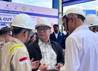 Ekspor Batam Awal 2026 Tunjukkan Ketahanan di Pasar Global