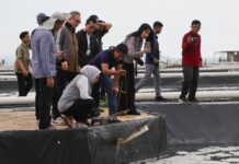 Komisi IX DPR RI Kunjungi PT Win Win Shrimp, Dorong Pengembangan Budidaya Udang Vaname dan Ketenagakerjaan di Kepri