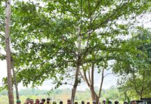 Healing Sehat Ala Batam Folding Bike di Kebun Raya Batam