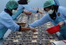 BGN Hentikan Sementara Operasional 240 SPPG