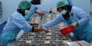 BGN Hentikan Sementara Operasional 240 SPPG